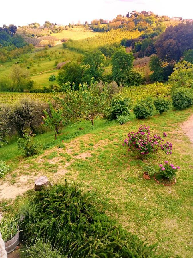 Villa Il Palagione San Gimignano Exterior foto