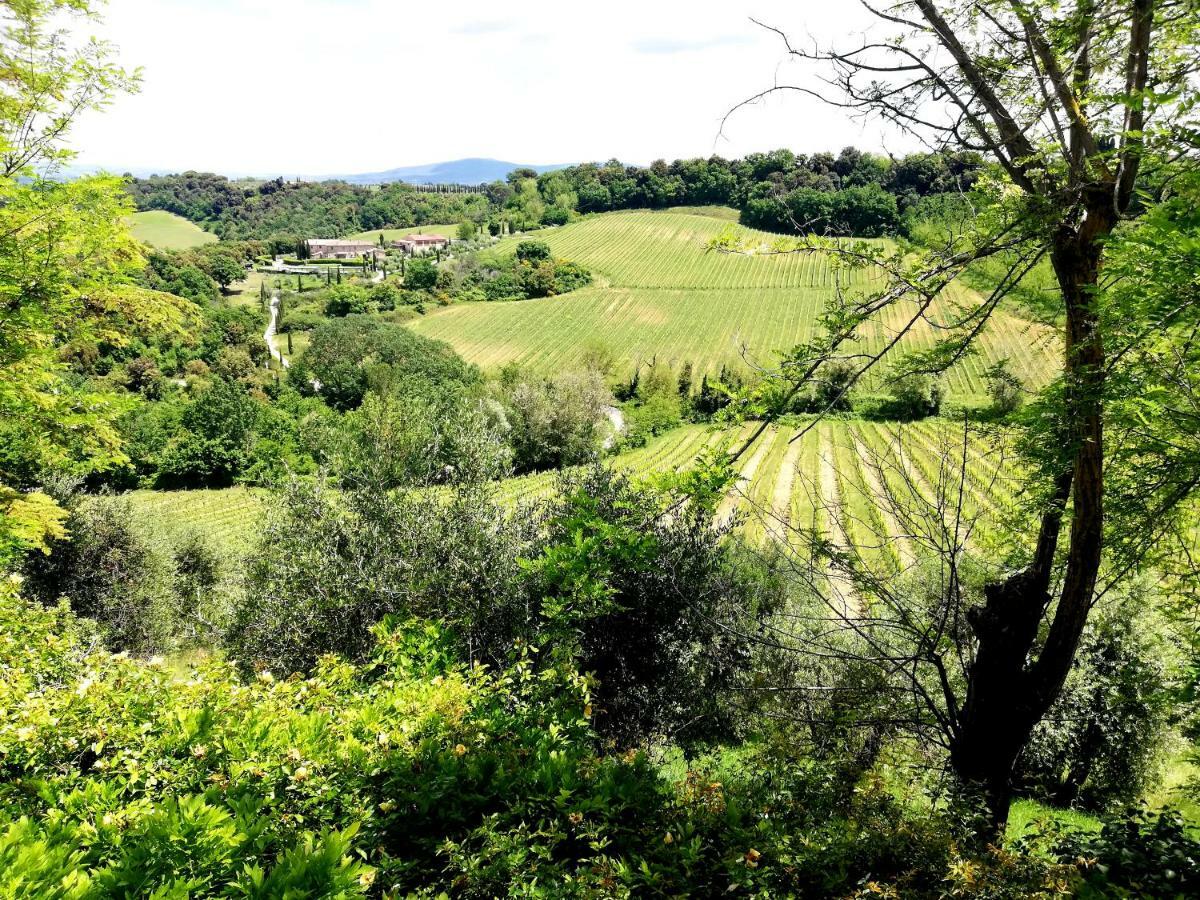 Villa Il Palagione San Gimignano Exterior foto